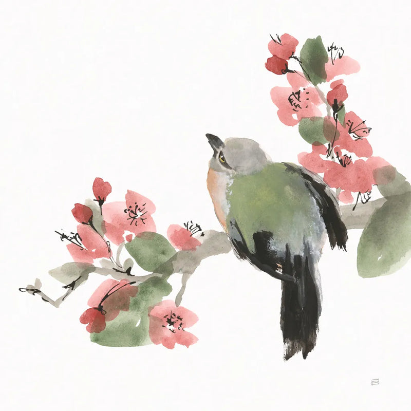 Bird and Blossoms II by Chris Paschke. SKU 99404a. Archival Giclee Fine art print for wall decor.