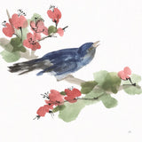 Bird and Blossoms III by Chris Paschke. SKU 99405a. Archival Giclee Fine art print for wall decor.