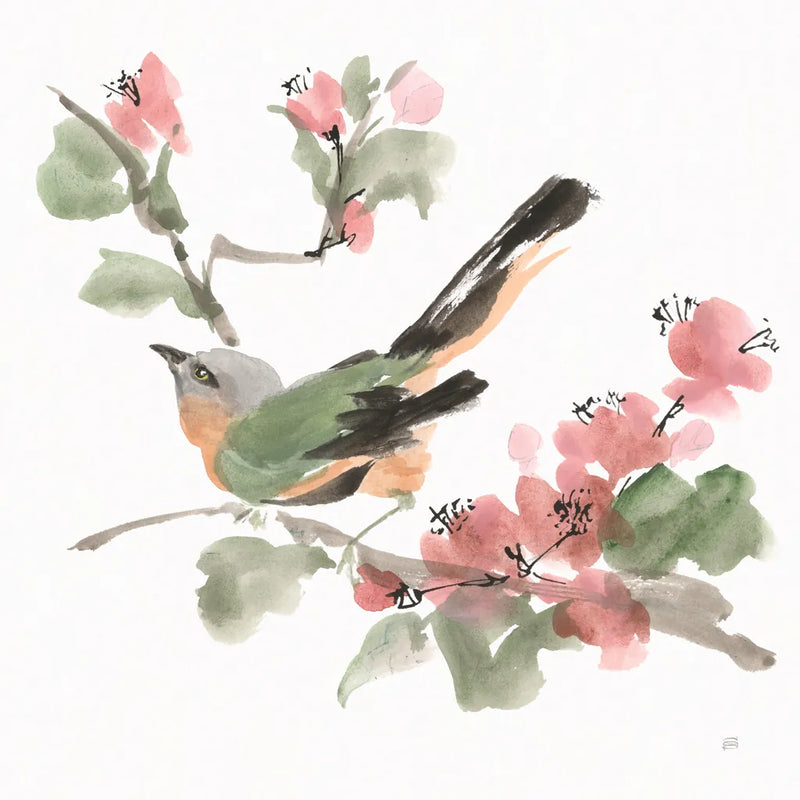 Bird and Blossoms IV by Chris Paschke. SKU 99406a. Archival Giclee Fine art print for wall decor.