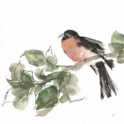 Bird and Leaves II by Chris Paschke. SKU 99363a. Archival Giclee Fine art print for wall decor.