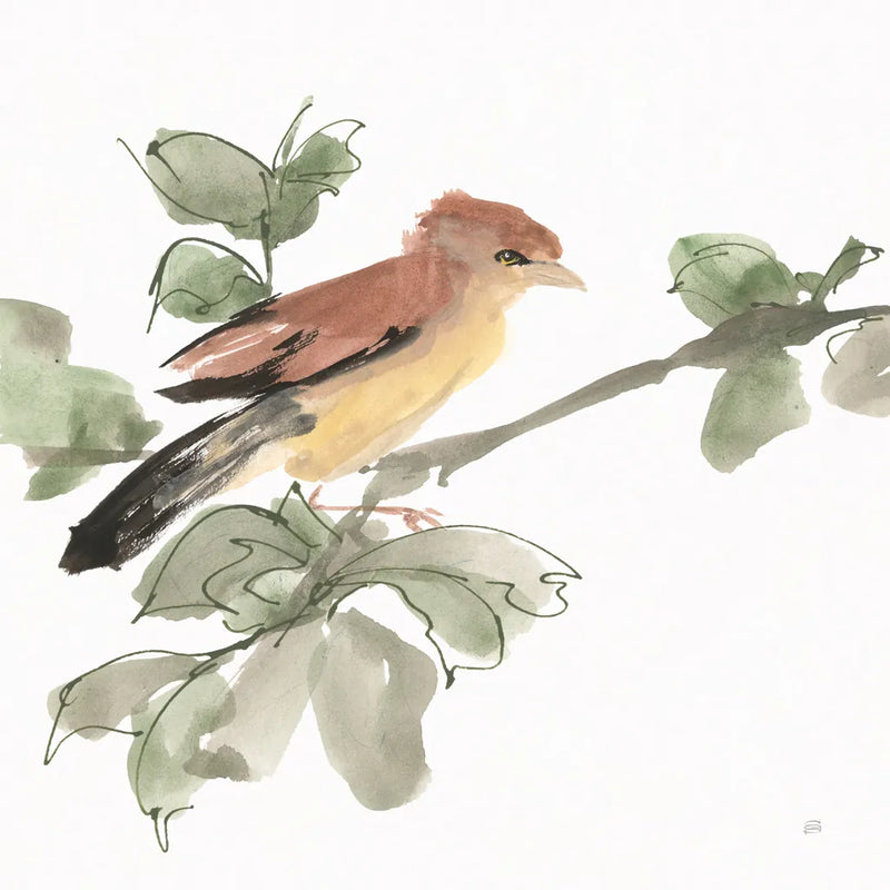 Bird and Leaves III by Chris Paschke. SKU 99364a. Archival Giclee Fine art print for wall decor.