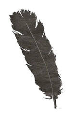 Black Feather V by Chris Paschke. SKU 28001h. Archival Giclee Fine art print for wall decor.