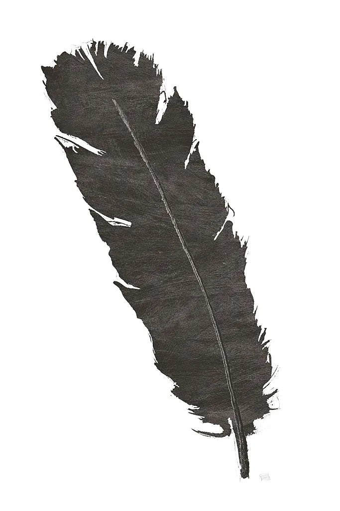 Black Feather V by Chris Paschke. SKU 28001h. Archival Giclee Fine art print for wall decor.