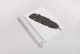 Black Feather V by Chris Paschke. shown as a rolled paper print. Available as archival giclee rolled canvas, fine art paper, or poster print. SKU 28001h.
