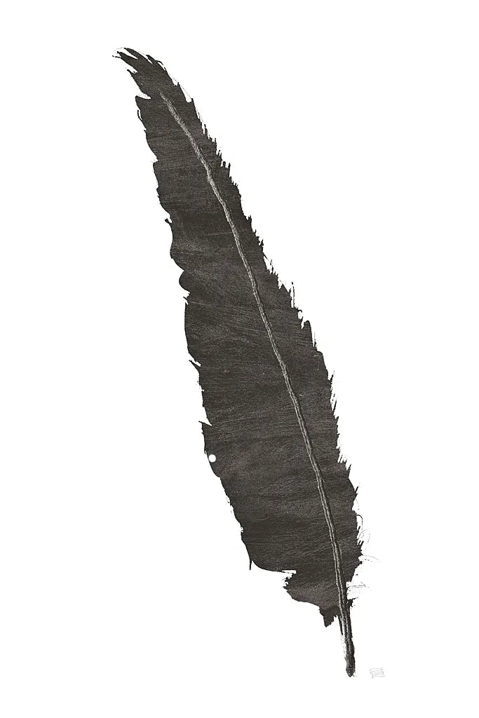 Black Feather VI by Chris Paschke. SKU 28002h. Archival Giclee Fine art print for wall decor.