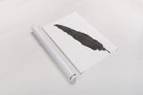Black Feather VI by Chris Paschke. shown as a rolled paper print. Available as archival giclee rolled canvas, fine art paper, or poster print. SKU 28002h.