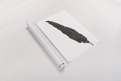 Black Feather VI by Chris Paschke. shown as a rolled paper print. Available as archival giclee rolled canvas, fine art paper, or poster print. SKU 28002h.