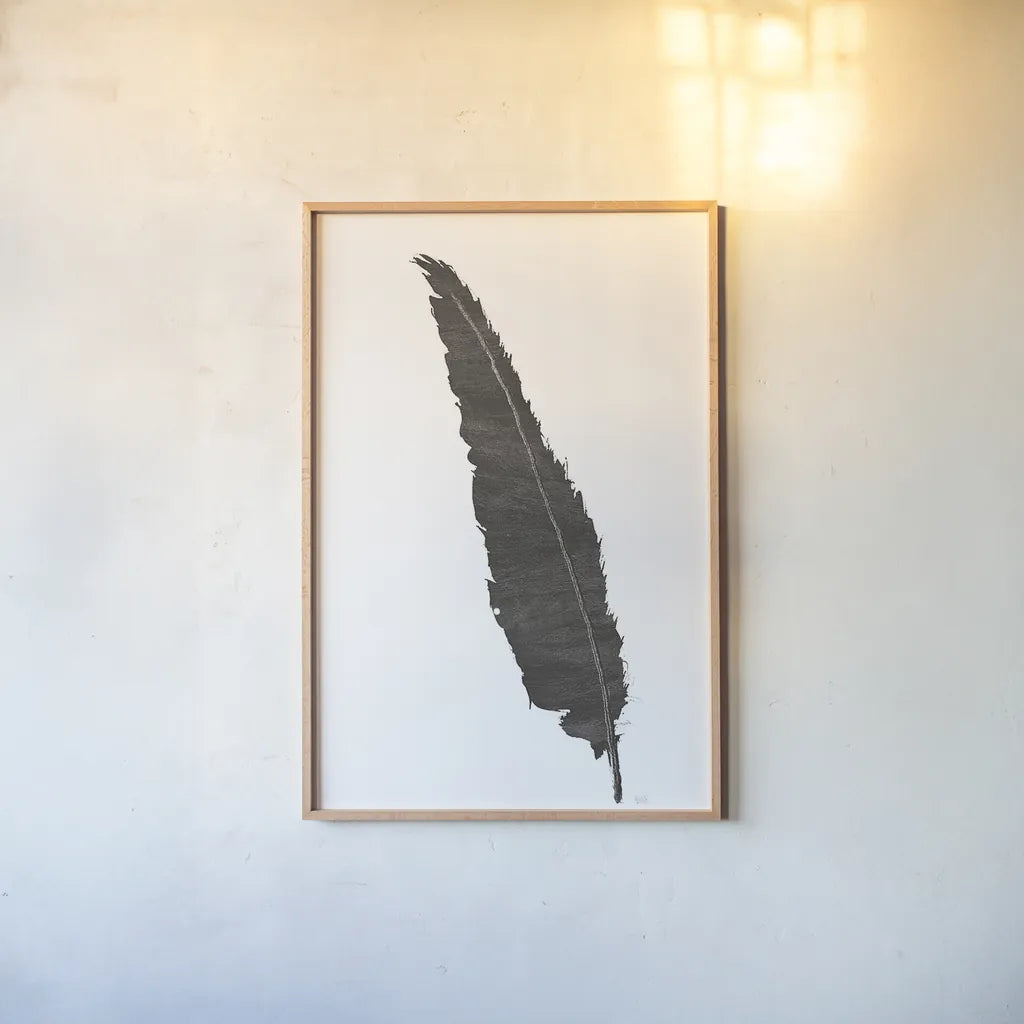 Black Feather VI by Chris Paschke. shown as a paper print in a natural frame. Available as a archival giclee rolled canvas, fine art paper, or poster print. SKU 28002h.