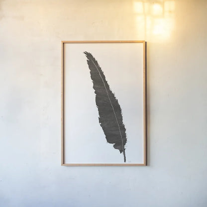 Black Feather VI by Chris Paschke. shown as a paper print in a natural frame. Available as a archival giclee rolled canvas, fine art paper, or poster print. SKU 28002h.