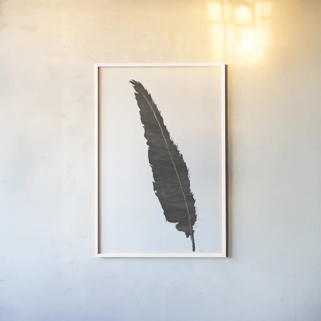 Black Feather VI by Chris Paschke. shown as a paper print in a white frame. Available as a archival giclee rolled canvas, fine art paper, or poster print. SKU 28002h.