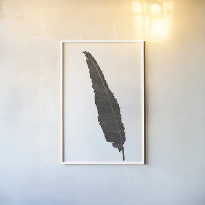 Black Feather VI by Chris Paschke. shown as a paper print in a white frame. Available as a archival giclee rolled canvas, fine art paper, or poster print. SKU 28002h.