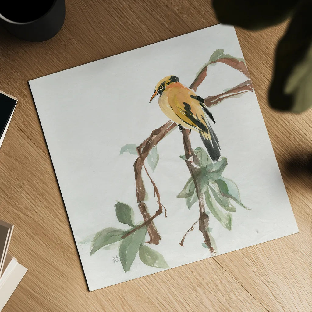 Black Napped Oriole by Chris Paschke. Shown as a detailed flat fine art print, highlighting archival giclee quality. Available as an archival giclee rolled canvas, fine art paper, or poster print. SKU 23936a.