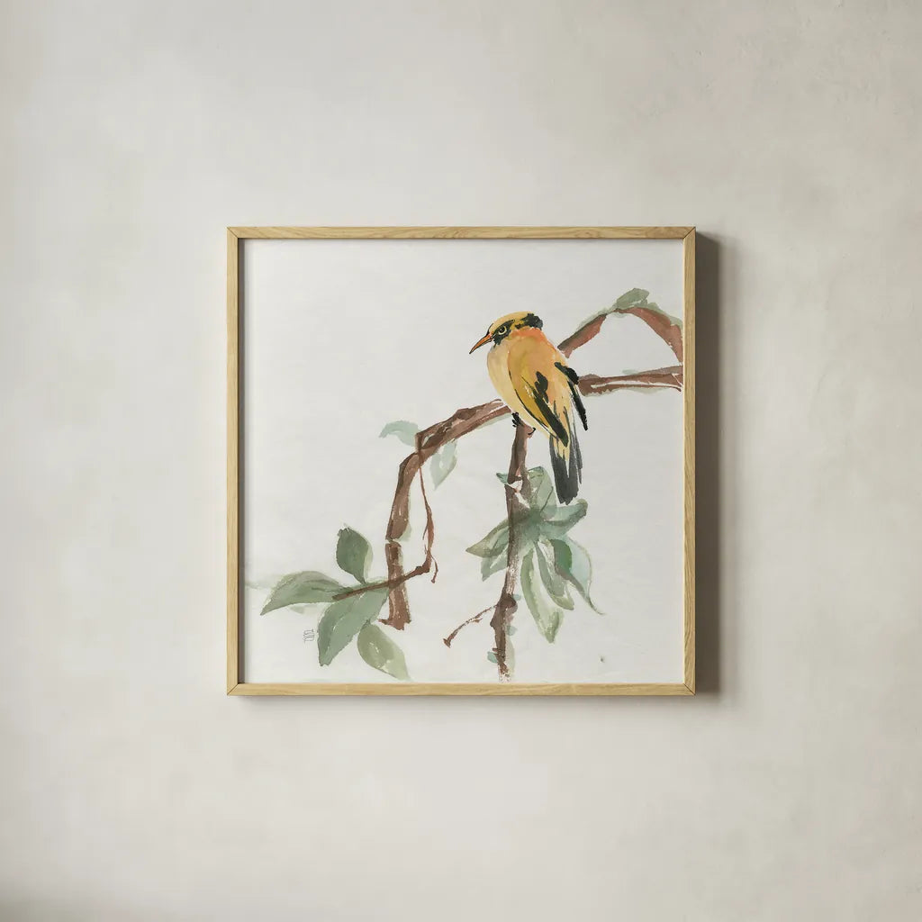 Black Napped Oriole by Chris Paschke. Shown in a natural wood glass frame for a timeless modern aesthetic. Available as an archival giclee rolled canvas, fine art paper, or poster print. SKU 23936a.