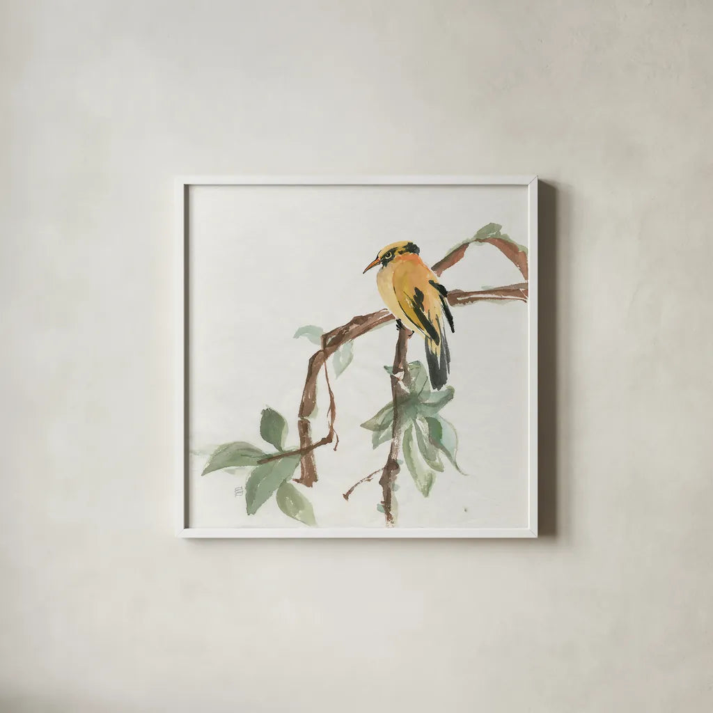 Black Napped Oriole by Chris Paschke. Shown in a crisp white glass frame for a clean and minimalist style. Available as an archival giclee rolled canvas, fine art paper, or poster print. SKU 23936a.