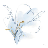 Blue and Gold Floral II by Chris Paschke. SKU 74379a. Archival Giclee Fine art print for wall decor.