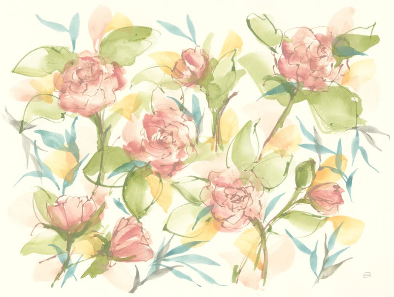Blush Camellias by Chris Paschke