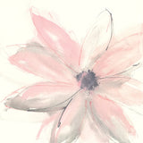 Blush Clematis I by Chris Paschke. SKU 33992a. Archival Giclee Fine art print for wall decor.