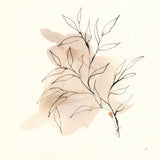 Boho Botanical IV by Chris Paschke. SKU 89521a. Archival Giclee Fine art print for wall decor.