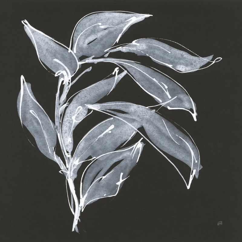 Branch I by Chris Paschke. SKU 73594a. Archival Giclee Fine art print for wall decor.
