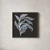 Branch I by Chris Paschke. Shown in a sleek black glass frame for a contemporary gallery look. Available as an archival giclee rolled canvas, fine art paper, or poster print. SKU 73594a.