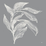 Branch I Gray by Chris Paschke. SKU 80482a. Archival Giclee Fine art print for wall decor.