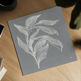 Branch I Gray by Chris Paschke. Shown as a detailed flat fine art print, highlighting archival giclee quality. Available as an archival giclee rolled canvas, fine art paper, or poster print. SKU 80482a.