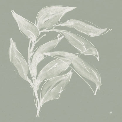 Branch I Sage by Chris Paschke. SKU 80483a. Archival Giclee Fine art print for wall decor.
