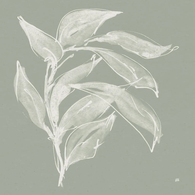 Branch I Sage by Chris Paschke. SKU 80483a. Archival Giclee Fine art print for wall decor.