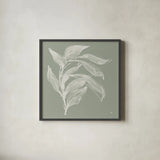 Branch I Sage by Chris Paschke. Shown in a sleek black glass frame for a contemporary gallery look. Available as an archival giclee rolled canvas, fine art paper, or poster print. SKU 80483a.