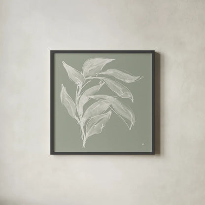 Branch I Sage by Chris Paschke. Shown in a sleek black glass frame for a contemporary gallery look. Available as an archival giclee rolled canvas, fine art paper, or poster print. SKU 80483a.