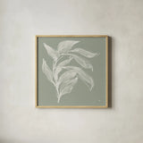 Branch I Sage by Chris Paschke. Shown in a natural wood glass frame for a timeless modern aesthetic. Available as an archival giclee rolled canvas, fine art paper, or poster print. SKU 80483a.