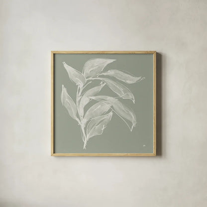 Branch I Sage by Chris Paschke. Shown in a natural wood glass frame for a timeless modern aesthetic. Available as an archival giclee rolled canvas, fine art paper, or poster print. SKU 80483a.