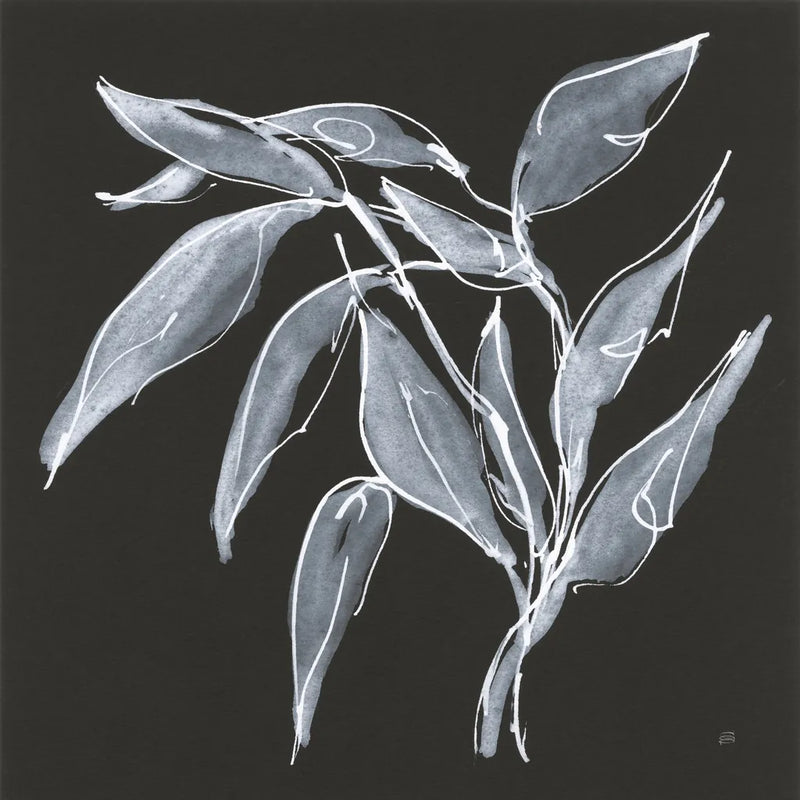 Branch II by Chris Paschke. SKU 73595a. Archival Giclee Fine art print for wall decor.