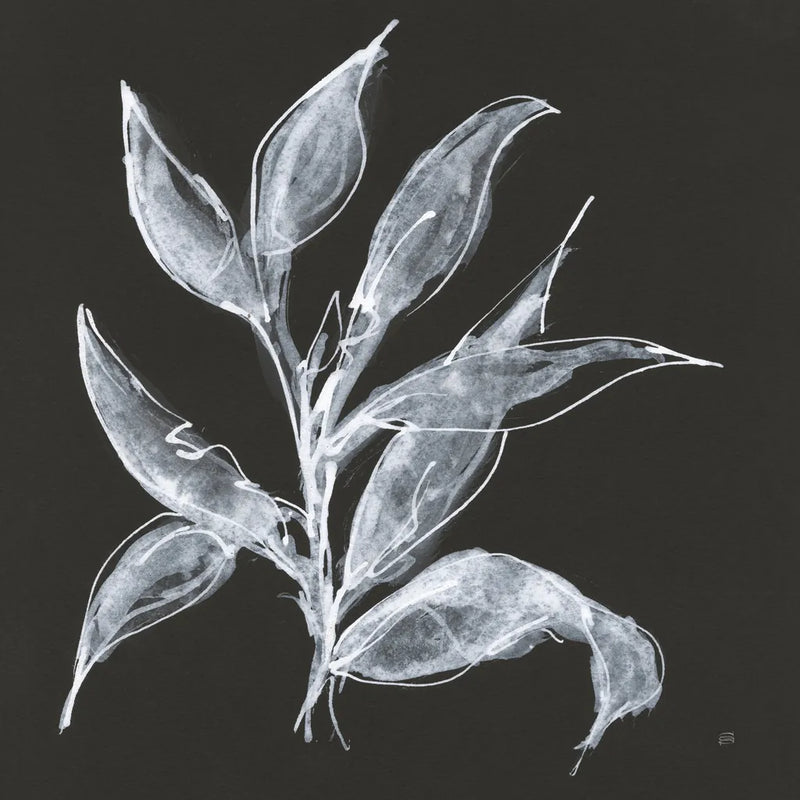 Branch III by Chris Paschke. SKU 73596a. Archival Giclee Fine art print for wall decor.