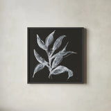 Branch III by Chris Paschke. Shown in a sleek black glass frame for a contemporary gallery look. Available as an archival giclee rolled canvas, fine art paper, or poster print. SKU 73596a.