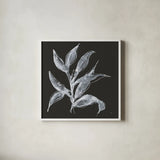 Branch III by Chris Paschke. Shown in a crisp white glass frame for a clean and minimalist style. Available as an archival giclee rolled canvas, fine art paper, or poster print. SKU 73596a.