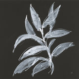 Branch IV by Chris Paschke. SKU 73597a. Archival Giclee Fine art print for wall decor.