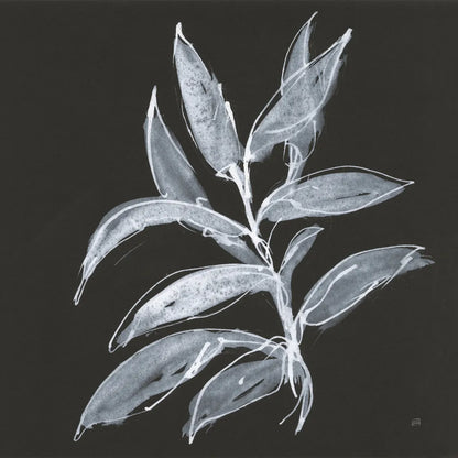 Branch IV by Chris Paschke. SKU 73597a. Archival Giclee Fine art print for wall decor.