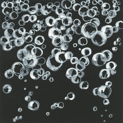 Bubbles II by Chris Paschke. SKU 41834a. Archival Giclee Fine art print for wall decor.