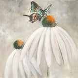 Butterflies are Free I by Chris Paschke. SKU 48036a. Archival Giclee Fine art print for wall decor.