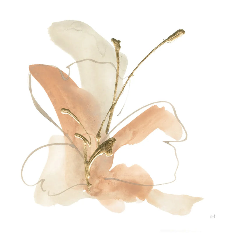 Butterfly Flower I by Chris Paschke. SKU 78866a. Archival Giclee Fine art print for wall decor.