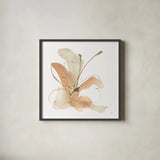 Butterfly Flower I by Chris Paschke. Shown in a sleek black glass frame for a contemporary gallery look. Available as an archival giclee rolled canvas, fine art paper, or poster print. SKU 78866a.