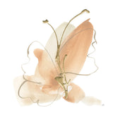 Butterfly Flower II by Chris Paschke. SKU 78867a. Archival Giclee Fine art print for wall decor.