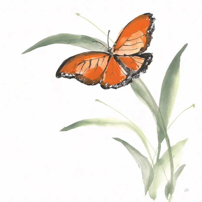 Butterfly Orange I by Chris Paschke. SKU 100068a. Archival Giclee Fine art print for wall decor.