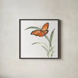 Butterfly Orange I by Chris Paschke. Shown in a sleek black glass frame for a contemporary gallery look. Available as an archival giclee rolled canvas, fine art paper, or poster print. SKU 100068a.