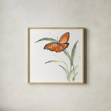 Butterfly Orange I by Chris Paschke. Shown in a natural wood glass frame for a timeless modern aesthetic. Available as an archival giclee rolled canvas, fine art paper, or poster print. SKU 100068a.
