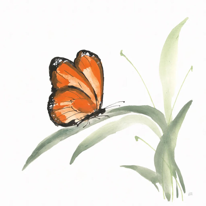 Butterfly Orange II by Chris Paschke. SKU 100069a. Archival Giclee Fine art print for wall decor.