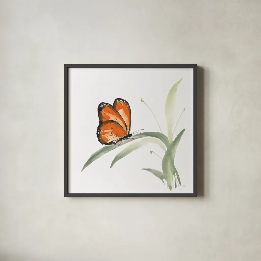 Butterfly Orange II by Chris Paschke. Shown in a sleek black glass frame for a contemporary gallery look. Available as an archival giclee rolled canvas, fine art paper, or poster print. SKU 100069a.