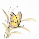 Butterfly Yellow I by Chris Paschke. SKU 100070a. Archival Giclee Fine art print for wall decor.