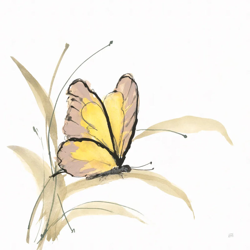 Butterfly Yellow I by Chris Paschke. SKU 100070a. Archival Giclee Fine art print for wall decor.